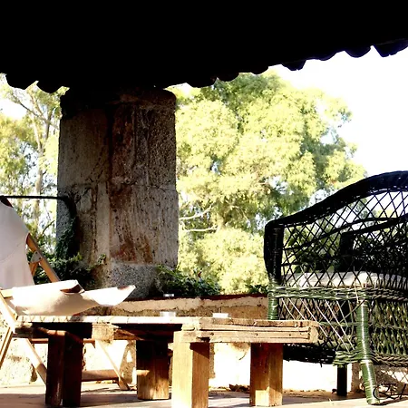 El Cabezo 圣马尔廷德特雷韦霍