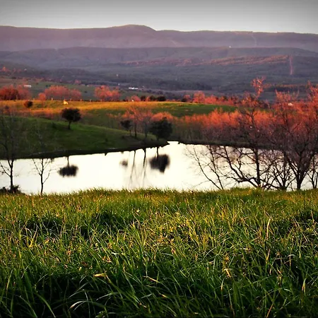 El Cabezo 圣马尔廷德特雷韦霍
