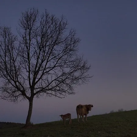 Casa Rural El Cabezo Country house
