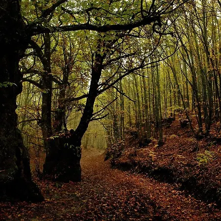 Casa Rural El Cabezo *