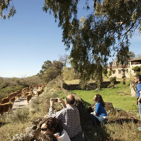 Casa Rural El Cabezo Country house