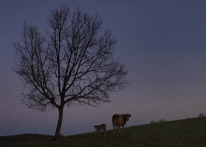 El Cabezo Casa rural