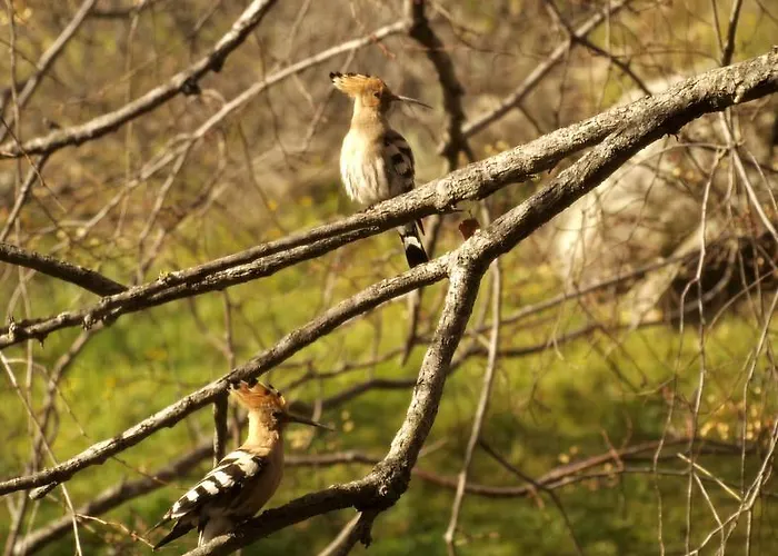 Casa Rural El Cabezo *
